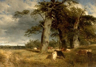 Krajina v Dukeries, Nottinghamshire, 1850 od Henry Dawson