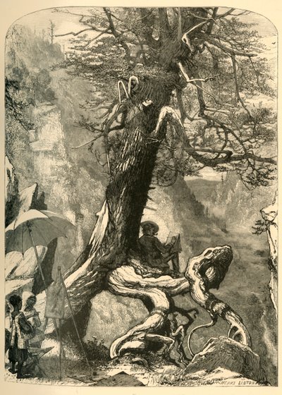 „Nad přírodním mostem“, 1872. od Henry Duff Linton