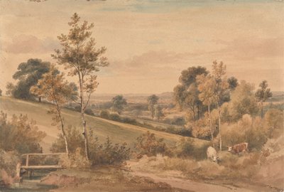 Malý Bushey, Hertfordshire od Henry Edridge