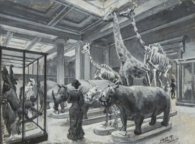 Vnitřní pohled na Britské muzeum s galerií s exponáty zvířat, kolem roku 1880 od Henry Edward Tidmarsh