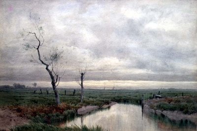Coastal Marshlands (akvarel) od Henry Farrer