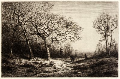 Prosinec od Henry Farrer