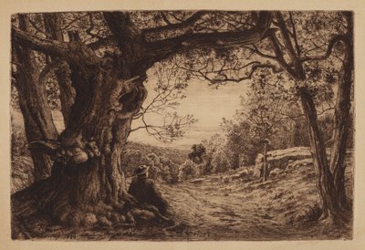 Na Hillside od Henry Farrer