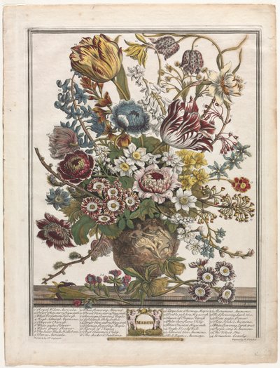 Dvanáct měsíců květů: březen 1730. od Henry Fletcher