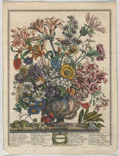 Dvanáct měsíců květů: říjen 1730. od Henry Fletcher