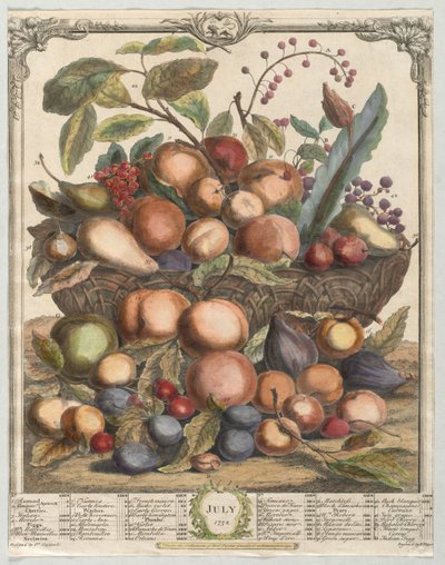 Dvanáct měsíců ovoce: červenec 1732. od Henry Fletcher