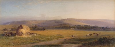 Pastviny South Downs, 1867 od Henry George Hine