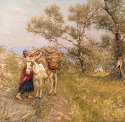 Ligurské olivy od Henry Herbert La Thangue