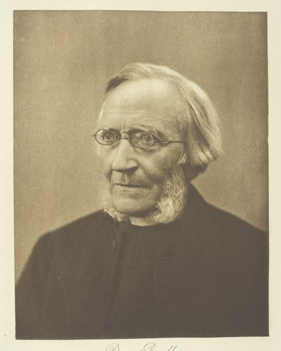 Velmi reverend Dean Bradley od Henry Herschel Hay Cameron