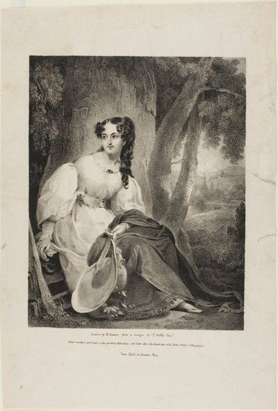 Portrét paní Henry Inman od Henry Inman