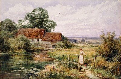 Pozorování Kachny od Henry John Sylvester Stannard