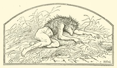 Jack my Hedgehog (rytina) od Henry Justice Ford