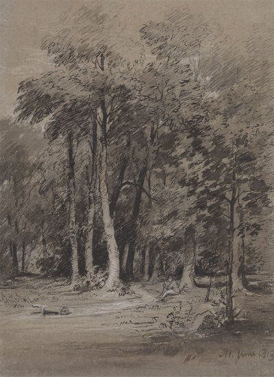 Zalesněná dráha od Henry Monro