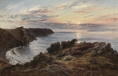Přes Shipload Bay na Lundy Island, Severní Devon, 1859 od Henry Moore