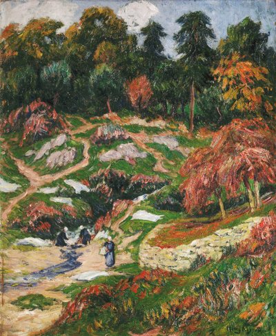 Prádelna v Doelan, Finistere; Le Levoir a Doelan, Finistere, od Henry Moret