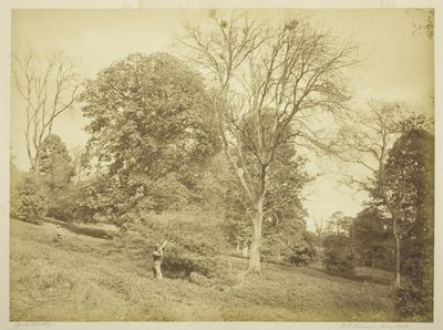 Střelba na věž od Henry Peach Robinson