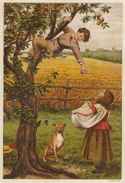 Sbírání jablek (barva lito) od Henry Robert Robertson