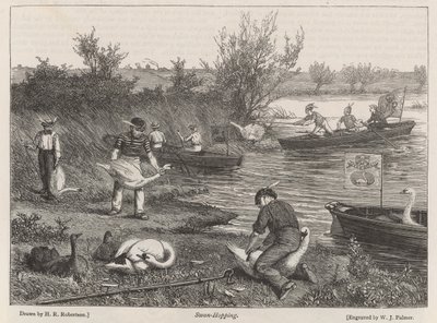 Swan-Hopping od Henry Robert Robertson