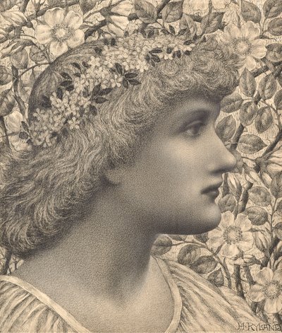 Florimel (kynä ja liitu paperille) od Henry Ryland