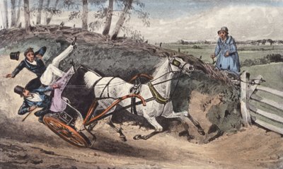 "Cože! Nikdy jste nebyli naštvaní na koncertě" (litografie) od Henry Thomas (after) Alken