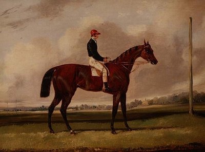 Bay dostihový kůň s žokejem na dostihovém závodišti od Henry Thomas Alken