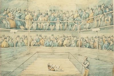 Psí zápas ve Westminster Pitt od Henry Thomas Alken