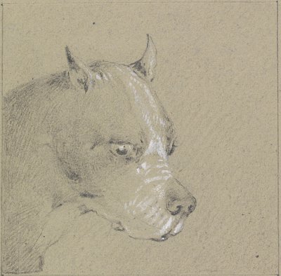 Hlava a ramena psa boxera (grafit zvýrazněný bílou barvou na papíře) od Henry Thomas Alken