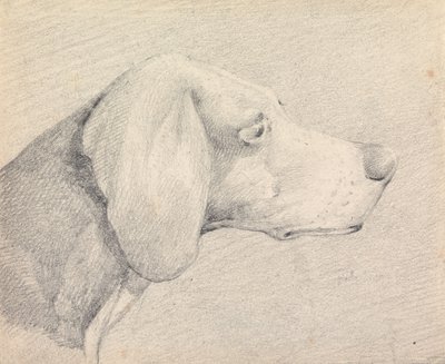 Hlava foxhounda z pravého profilu od Henry Thomas Alken