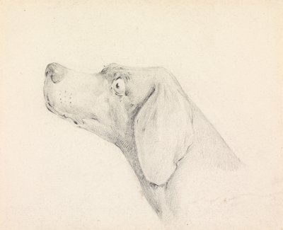 Hlava pointera, levý profil od Henry Thomas Alken
