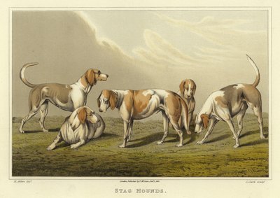 Jeleni (chromolitho) od Henry Thomas Alken