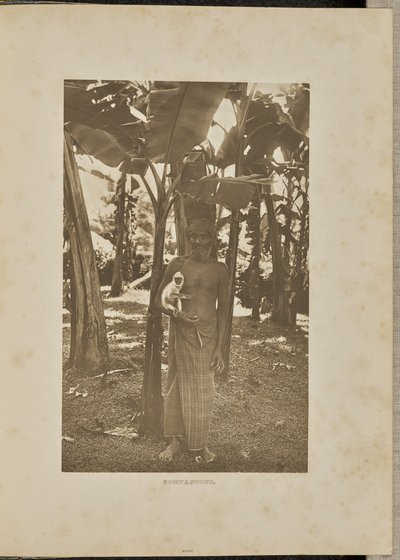 Společníci od Henry W. Cave