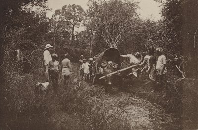 Zničená města Cejlonu: Na cestě do Polonnaruwy (černobílá fotografie) od Henry W. Cave