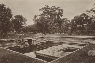 Zničená města Cejlonu: Pokuna (černobílá fotografie) od Henry W. Cave