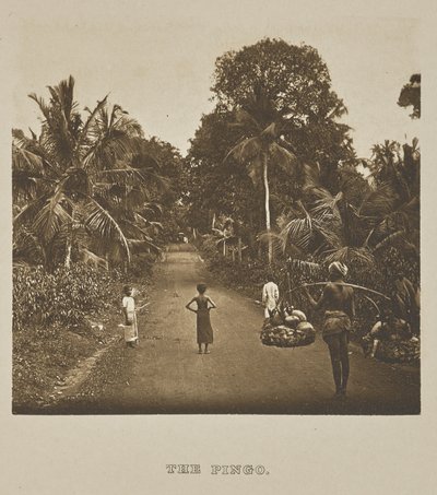 Pingo od Henry W. Cave