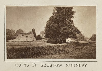 Zřícenina kláštera Godstow Nunnery od Henry W. Taunt
