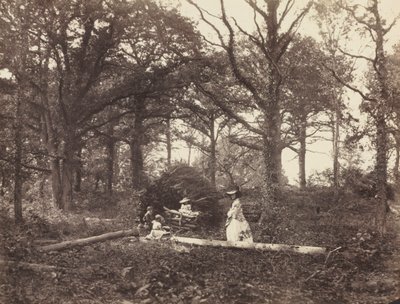 Krajina, 1856. od Henry White