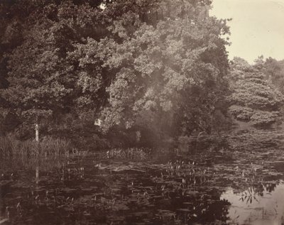 [Rybník v parku, Surrey] od Henry White