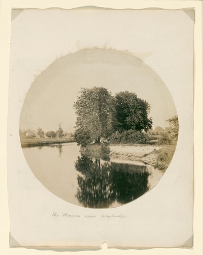 Bez názvu od Henry White