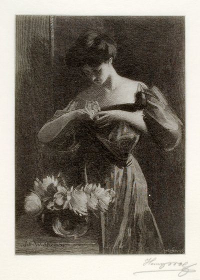 Květina od Henry Wolf