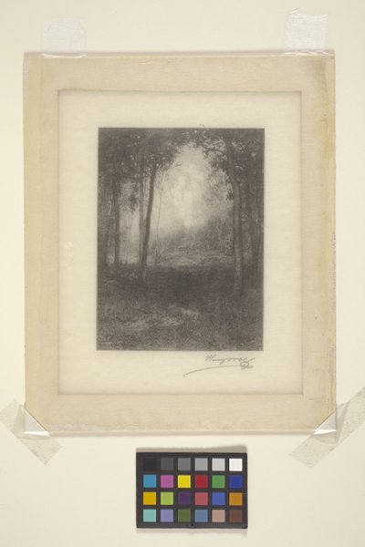 V Adirondacks (inkoust) od Henry Wolf