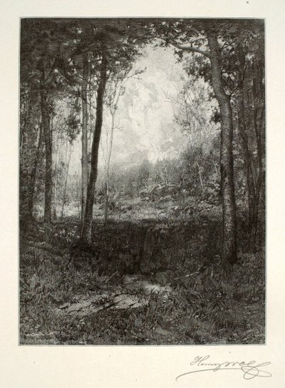 V Adirondacku od Henry Wolf