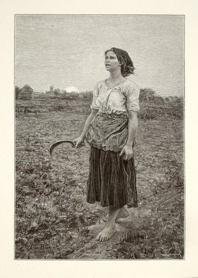 Píseň skřivana od Henry Wolf