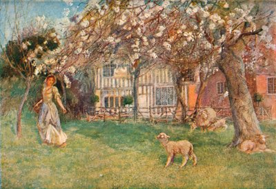 "Jehňata", c1904 od Herbert Alexander Collins