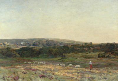Večerní soumrak, Studland, Dorset, 1904 od Herbert Hughes Stanton