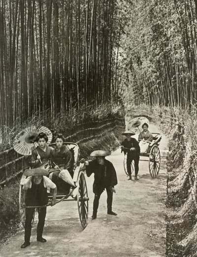 Bamboo Avenue v Kjótu, 1910. od Herbert Ponting