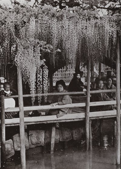 Arbor Wistaria v Kameido (černobílá fotografie) od Herbert Ponting