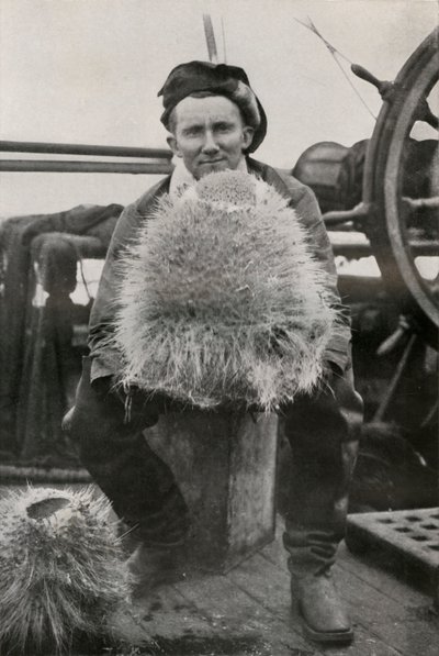 D. G. Lillie, s Some of the Siliceous Sponges, c1911, 1913 od Herbert Ponting