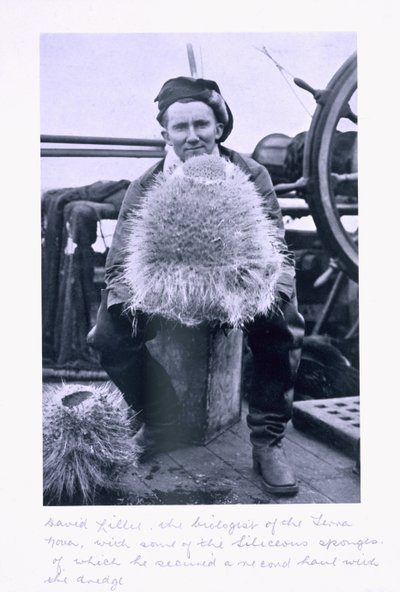 David Lille, biolog 