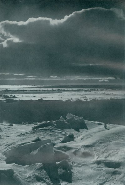 Večerní scéna ve smečce, c19101913, 1913 od Herbert Ponting