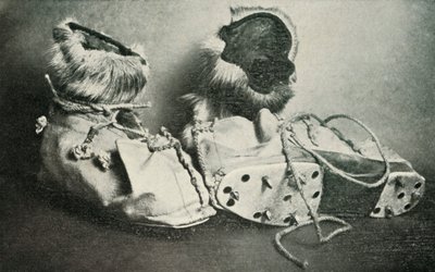 Finnesko s mačkami, c19101913, 1913 od Herbert Ponting